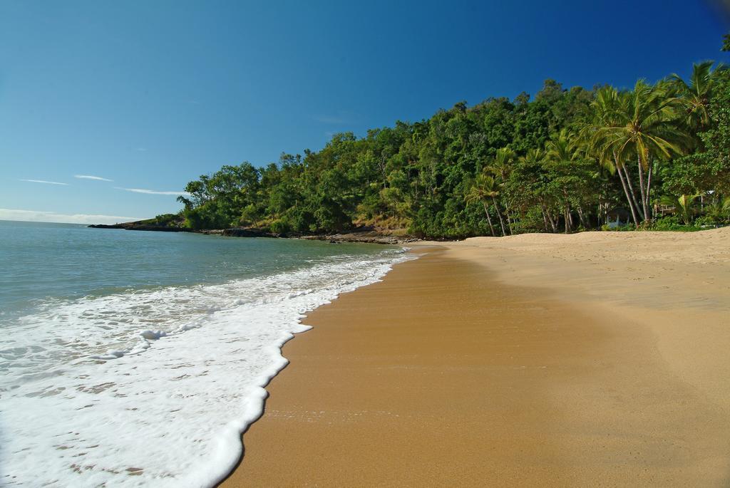 On The Beach Apartments Trinity Beach Bagian luar foto